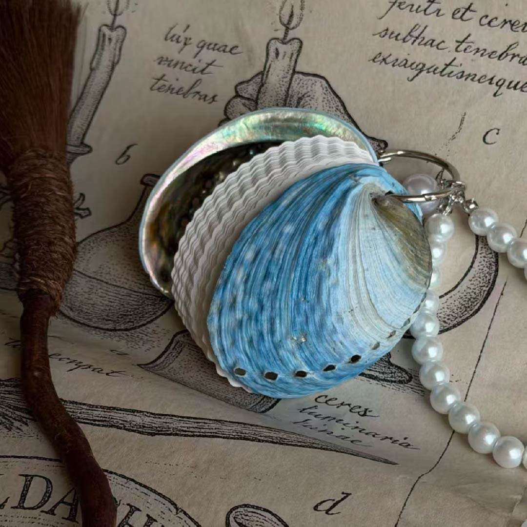 Genuine Shell & Abalone Journal Collection - Handmade 1 PC