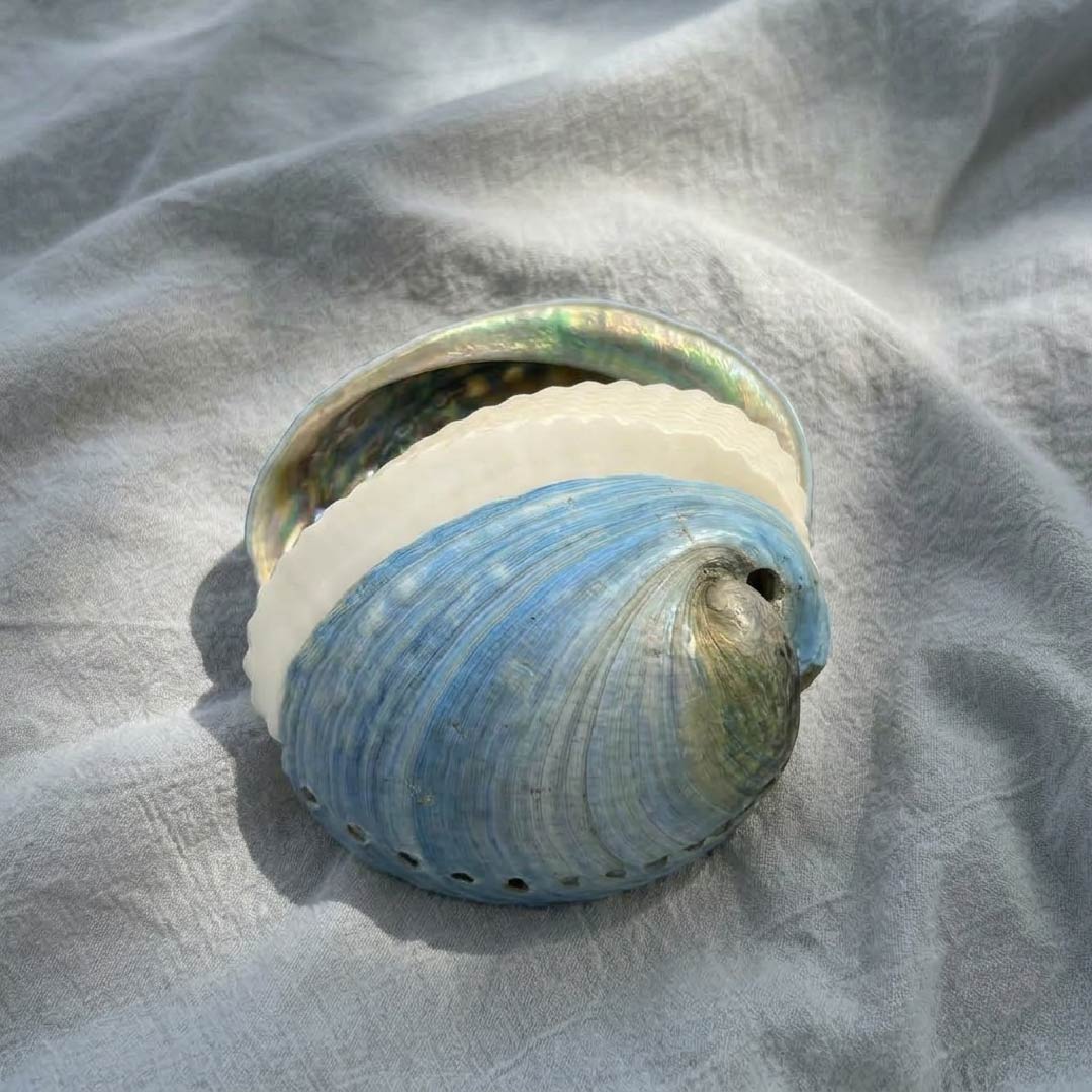 Genuine Shell & Abalone Journal Collection - Handmade 1 PC