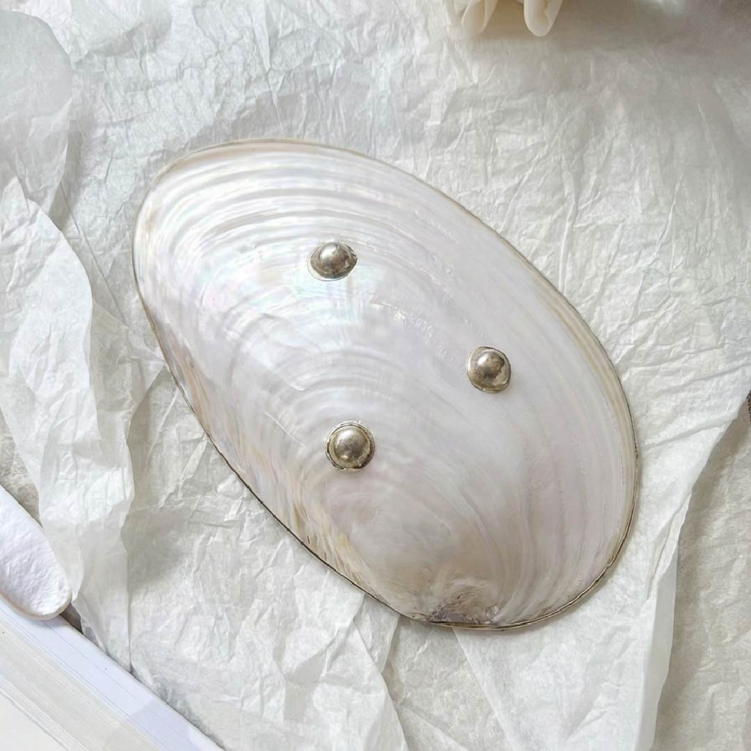 Giant Mother of Pearl Seashell Dish - Handcrafted 1 PC