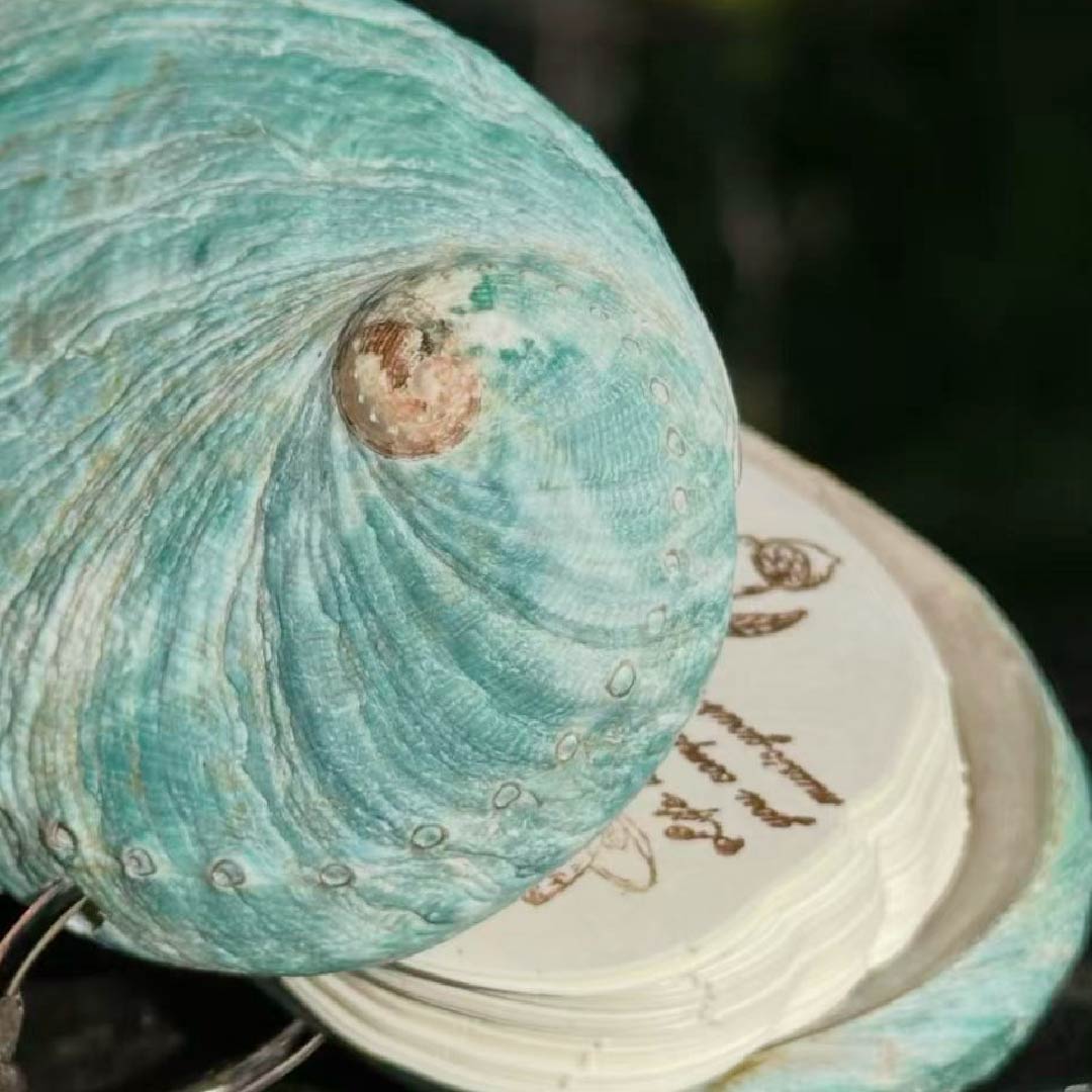 Green Abalone Journal - Handmade 1 PC
