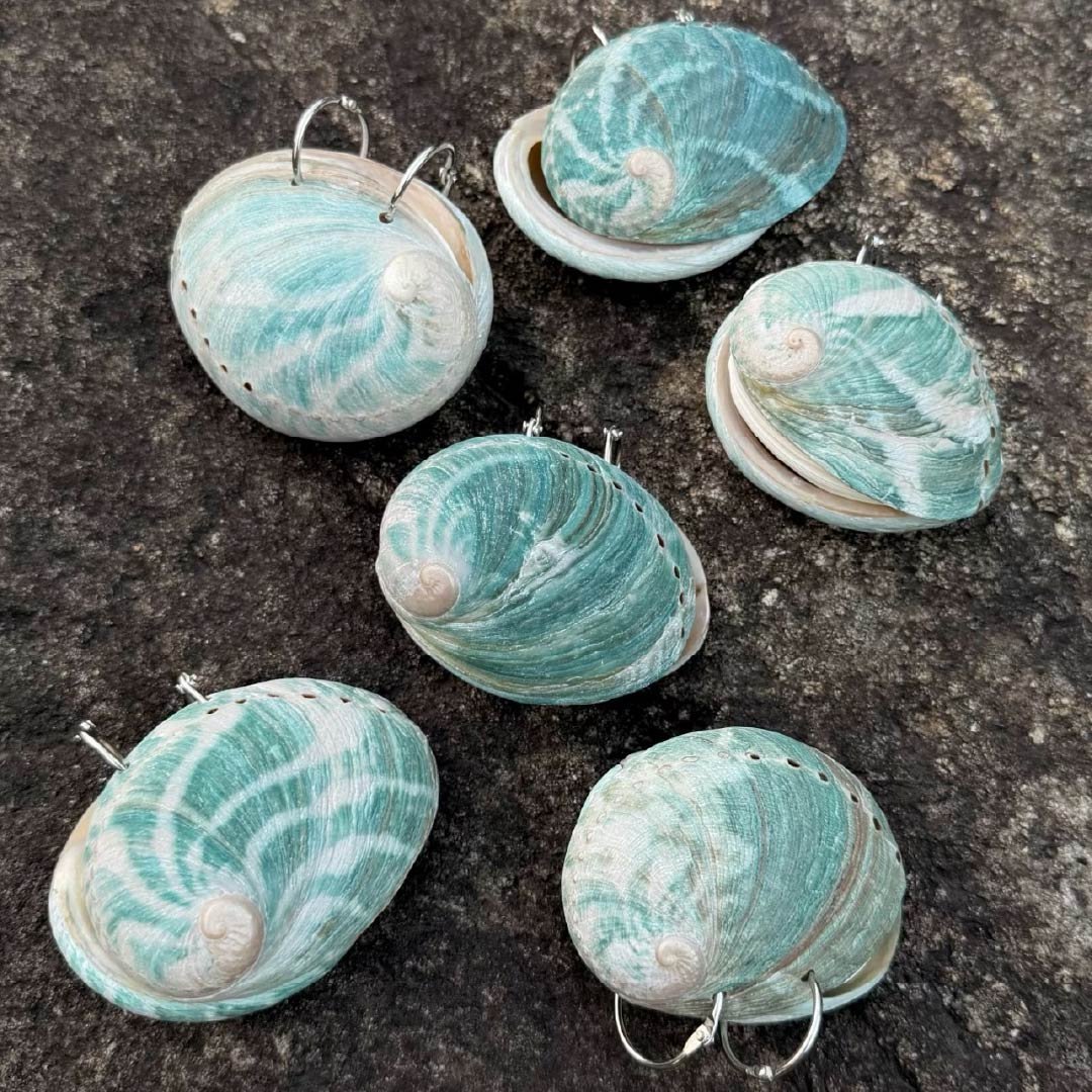 Green Abalone Journal - Handmade 1 PC