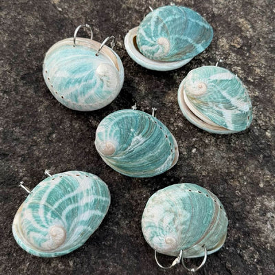 Green Abalone Journal - Handmade 1 PC