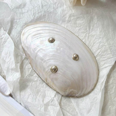 Giant Mother of Pearl Seashell Dish - Handcrafted 1 PC