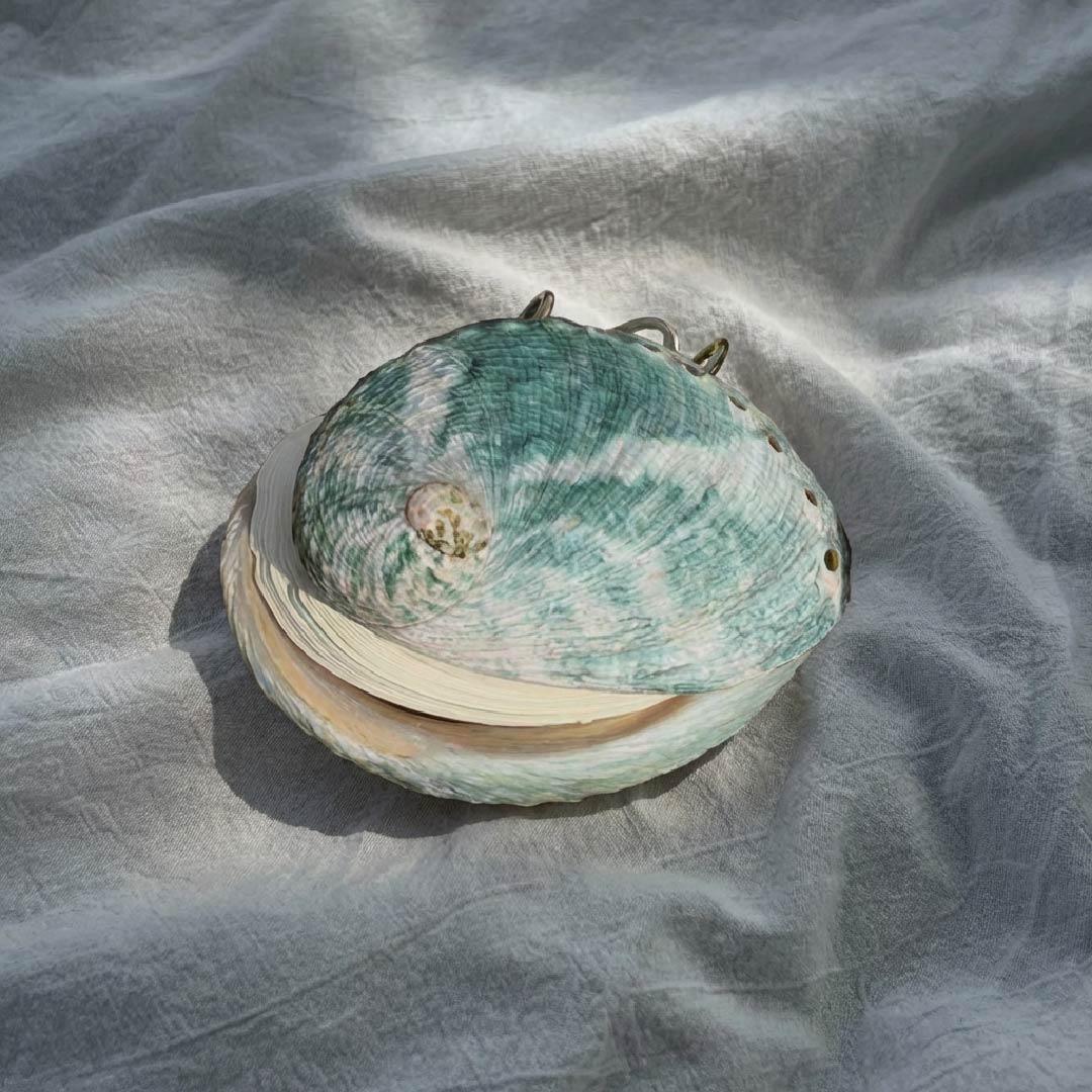 Genuine Shell & Abalone Journal Collection - Handmade 1 PC