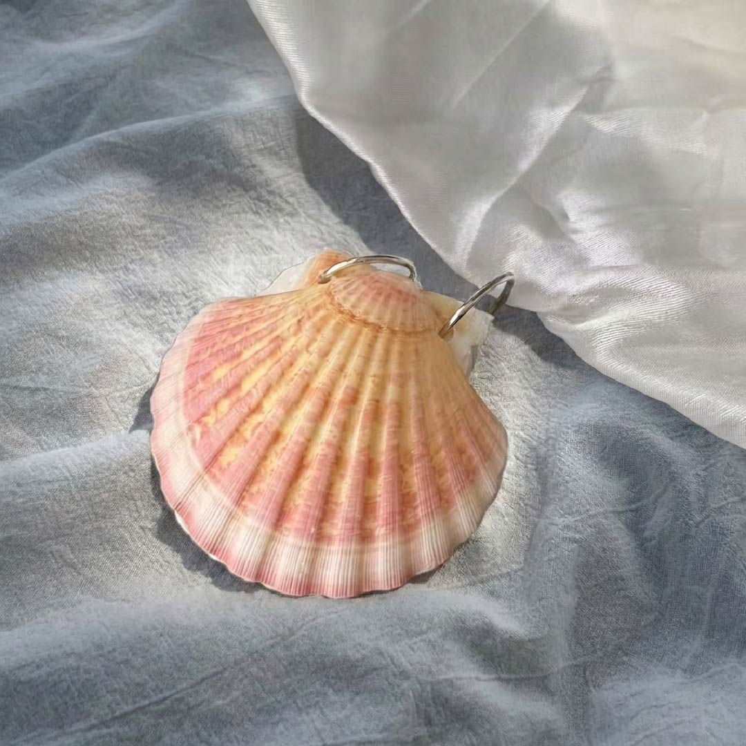 Genuine Shell & Abalone Journal Collection - Handmade 1 PC