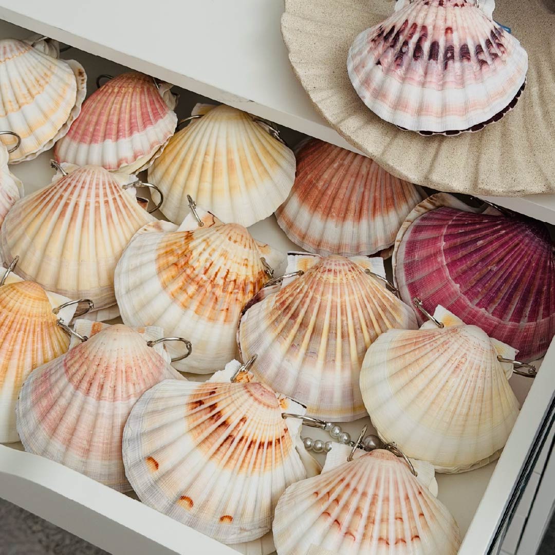 Genuine Shell & Abalone Journal Collection - Handmade 1 PC
