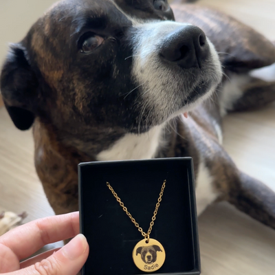 Pet Photo Necklace - Free Rotating Eternal Rose Gift Box Included