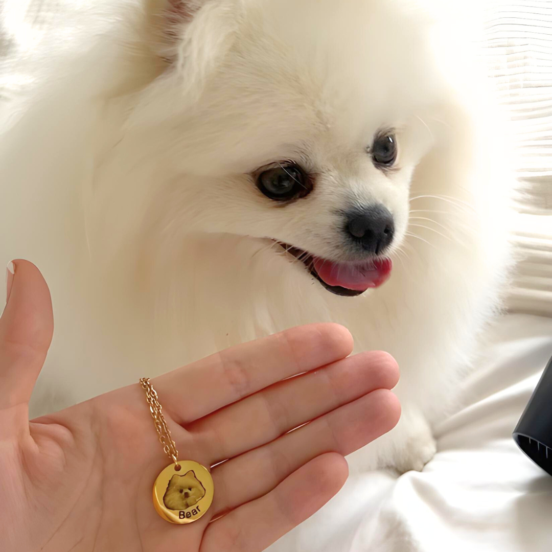 Pet Photo Necklace - Free Rotating Eternal Rose Gift Box Included