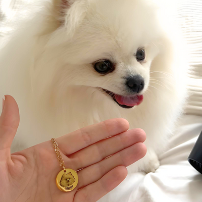 Pet Photo Necklace - Free Rotating Eternal Rose Gift Box Included