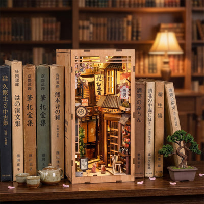 The Alley Waiting for the Cat DIY Book Nook Kit